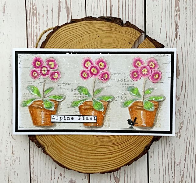 TE001 - Alpine Plant (A7 stamp)