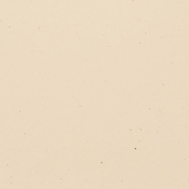 Hovedbilde Bazzill Speckle Cardstock ...