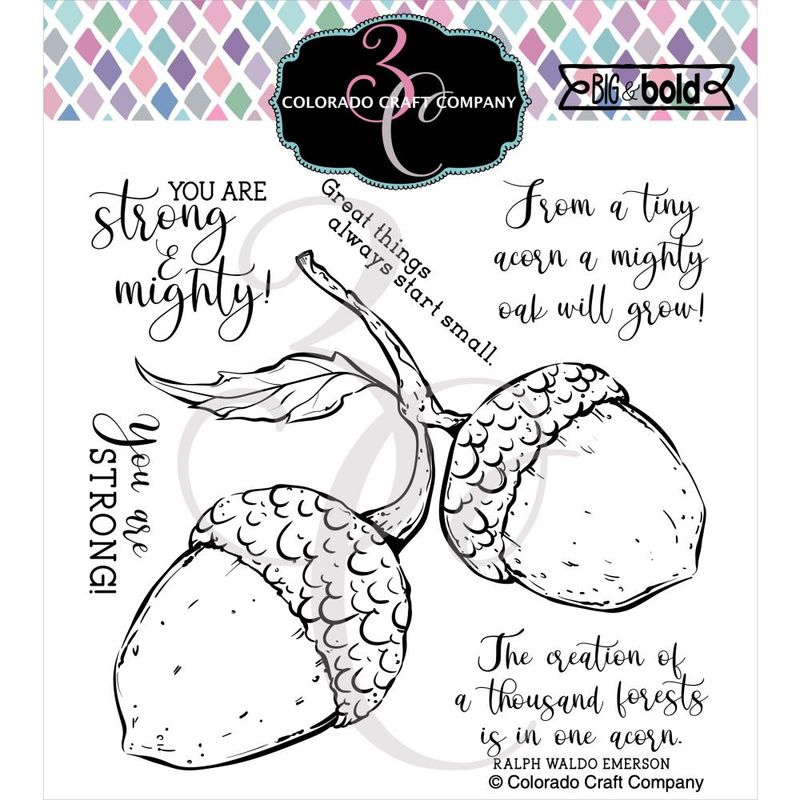 Mighty Acorn-Big & Bold