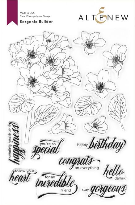 Hovedbilde Bergenia Builder Stamp Set 