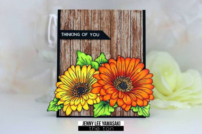 Hovedbilde Daisy Duet