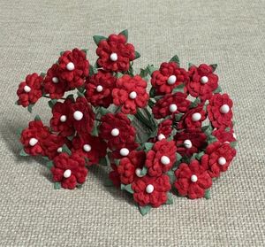 Hovedbilde MINIBLOMSTER - R&Oslash;D