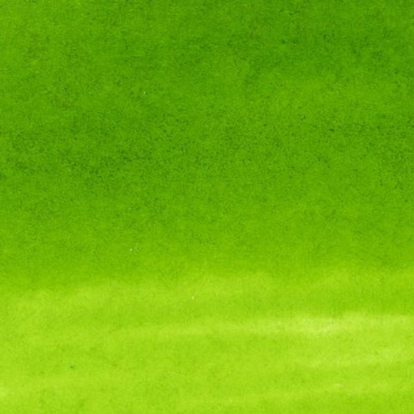 ZIG Clean Color Real Brush 410 Leaf Green