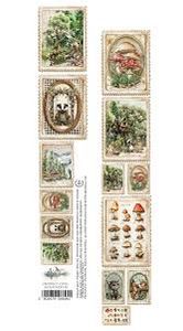 Hovedbilde  Friends of the Forest 02 -- ...