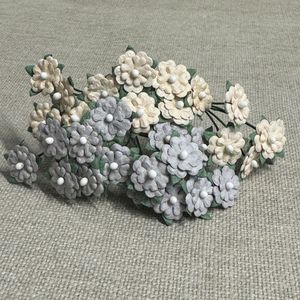 Hovedbilde MINIBLOMSTER, BEIGE OG GR&Aring;