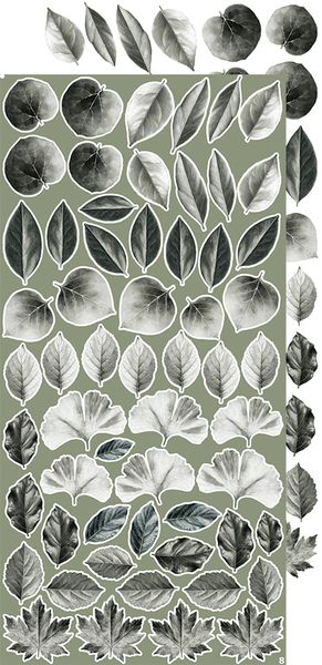 CREATIVE EXTRAS - 07 - LEAVES #1 - EXTRAS SET