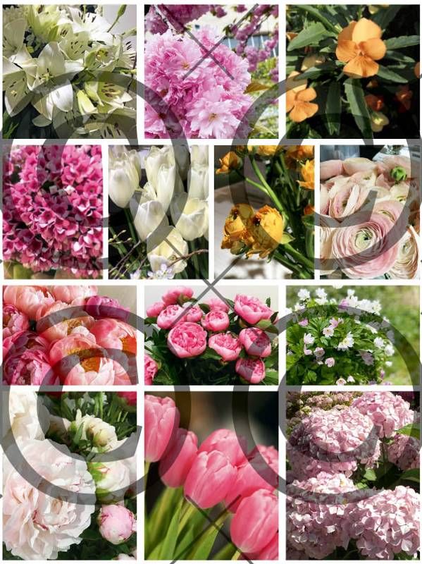 BLOMSTERKLIPP 2