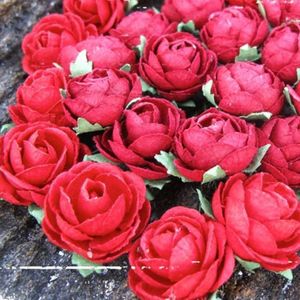 Hovedbilde PION, R&Oslash;D