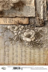 Hovedbilde AA-IS-RP-02