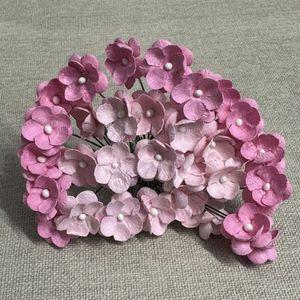 Hovedbilde S&Oslash;TE BLOMSTER, ROSA