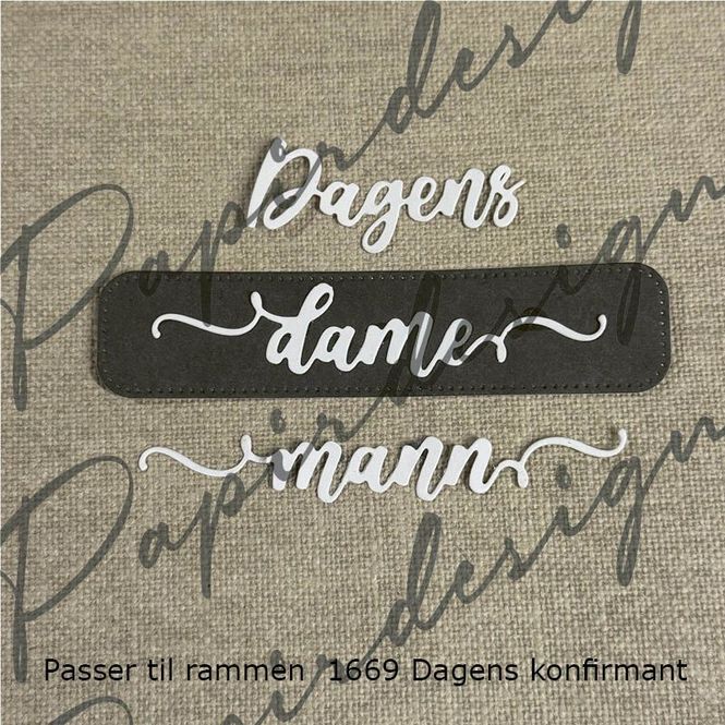 Hovedbilde DAGENS MANN OG DAME