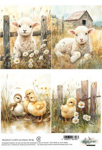 Hovedbilde AA-SPRING-RP-06