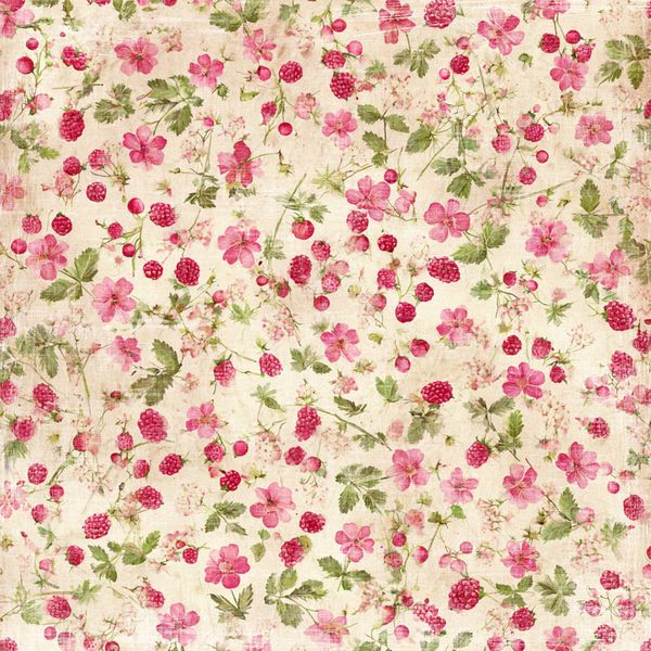 Summer Garden Collection - 6x6